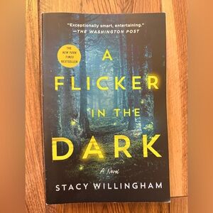 A Flicker in the Dark Book by Stacy Willingham